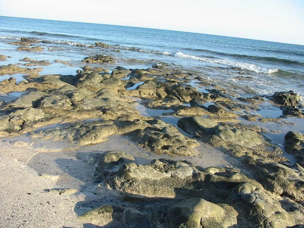 Cotillosand 0*, Cotillo